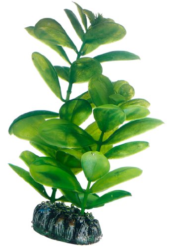 Hobby 51563 Saururus, 16 cm Hobby 51563 Saururus, 16 cm von Hobby