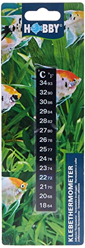 Hobby 60500 Klebethermometer für Aquarien von Hobby