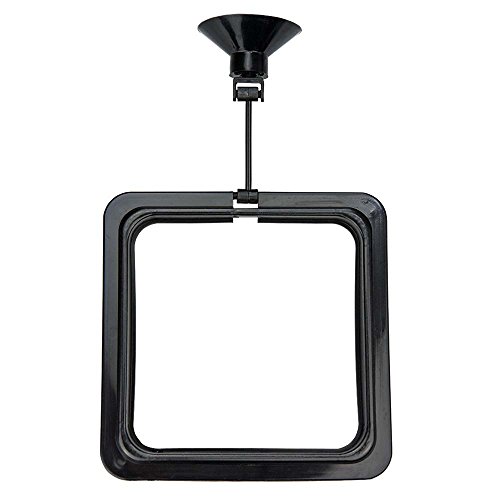 Hobby 61304 Feeding Station 2, eckig, 10 x 10 cm, schwarz von Hobby