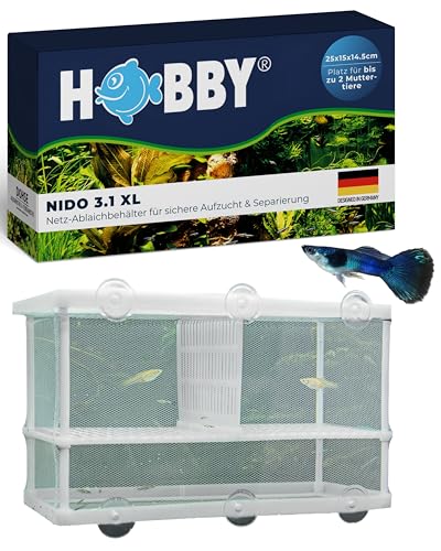 Hobby Nido 3.1 XL (15 x 25 x 14,5 cm) Hobby Nido 3.1 XL (15 x 25 x 14,5 cm) von Hobby