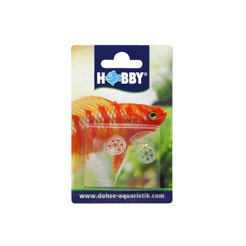 HOBBY Aquaristik Sternsauger I Für Thermometer, 2 Stück I Praktisches Zubehörteil als Ersatz und für Bastler von Hobby