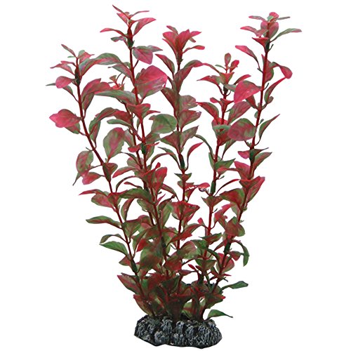 Hobby Ludwigia, 25 cm Hobby Ludwigia, 25 cm von Hobby