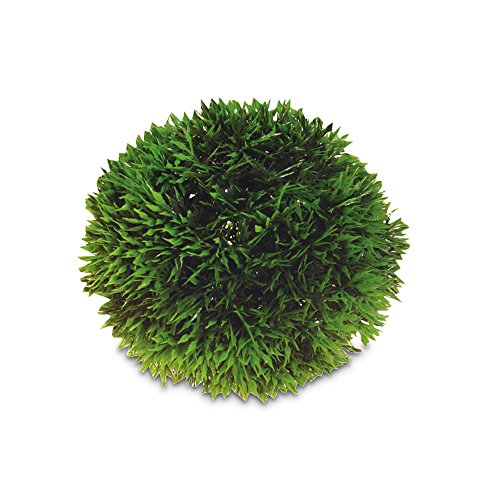 Hobby Plant Ball, 13 cm von Hobby