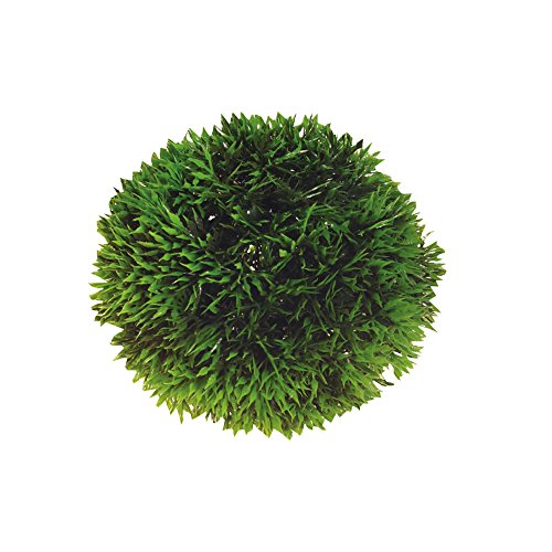 Hobby Plant Ball, 9 cm von Hobby