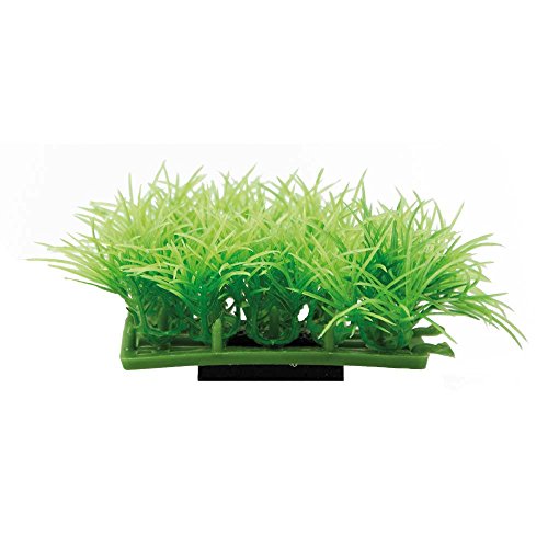 Hobby Plant Pad 2 von Hobby