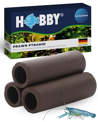 Hobby Prawn Pyramid, 2-1 Braun(4x3,5x5 cm) von Hobby