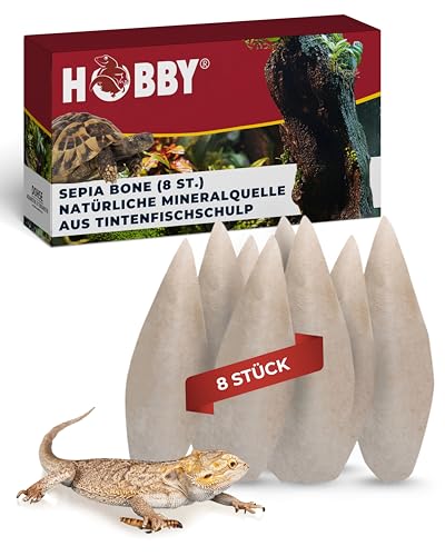 Hobby Terraristik Sepia Schalen 15-20 cm I 8 Stück I natürliche Mineralquelle aus Tintenfischschulp I Kalziumquelle für Land-, Sumpf- und Wasserschildkröten, Echsen, Nager und Ziervögel I Sepia Bone von Hobby