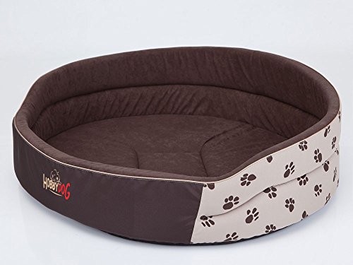 Hobbydog R5 PIABEZ4 Dog Bed of Foam R5 64X50 cm Beige with Paws, L, Beige, 1.3 kg von Hobbydog