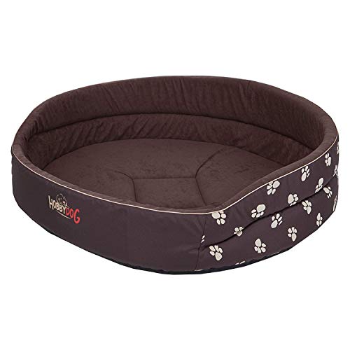 Hobbydog R6 PIABWL2 Dog Bed of Foam R6 70X55 cm Brown with Paws, L, Brown, 1.5 kg von Hobbydog