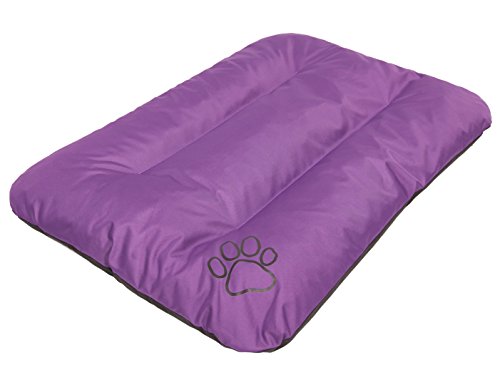 HobbyDog Hundematraze Schlafplatz Hundebett Tierbett Hundekissen Katzenbett XL Pflaume von Hobbydog