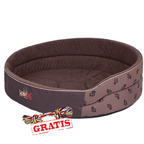 HobbyDog PIAJBL3 + Ball gratis Hundebett Katzenbett Ruheplatz Hundematratze Katzenmatratze Schaumhundebett Schaumstoffbett Korb Schlafplatz (10 Verschiedene Größen) (R4 (58 x 43 cm)) von Hobbydog