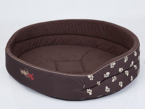 Hobbydog R4 PIABWL2 Dog Bed of Foam R2 47X33 cm Black with Paws, M, Brown, 1.1000000000000001 kg von Hobbydog