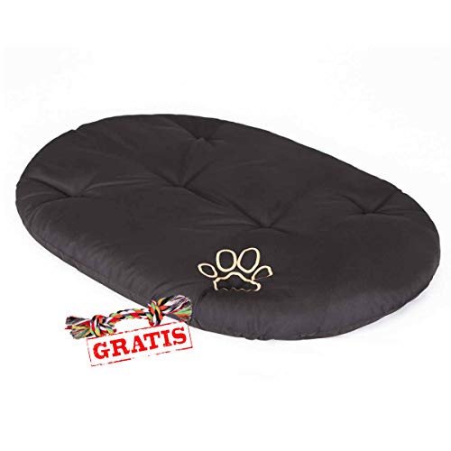 Hobbydog PODCZA5 Kissen + Spieltau gratis Hundematte Ruheplatz Hundebett Hundekissen Hundematratze (9 Verschiedene Größen) (R1 (41 x 35 cm)) von Hobbydog