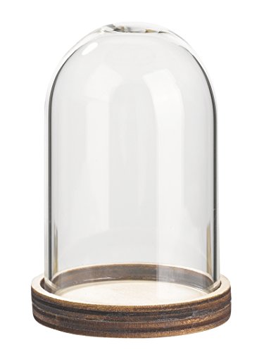 Glas-Glocke mit Holzboden 6 x 9 cm von Hobbyfun