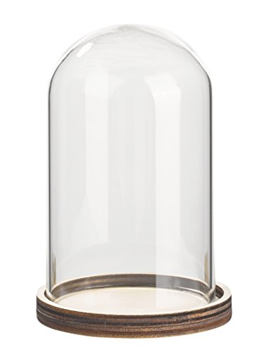 Glas-Glocke mit Holzboden 7,5 x 12 cm von Hobbyfun
