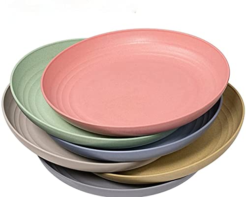 Hobein Teller Set 6er 23cm Essteller Plastikteller, Modern & Gesund Speiseteller,Kuchenteller,Unzerbrechlich Plate für Salat, Dessert, Frühstück|Mikrowellen & Spülmaschinenfest,BPA Frei von Hobein