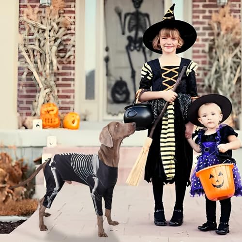 Hobngmuc Großhunde Halloween Kostüme | Skelett Halloween Kostüm Für Hunde - Atmungsaktives Cosplay Kostüm für Herbst Thanksgiving Weihnachten von Hobngmuc