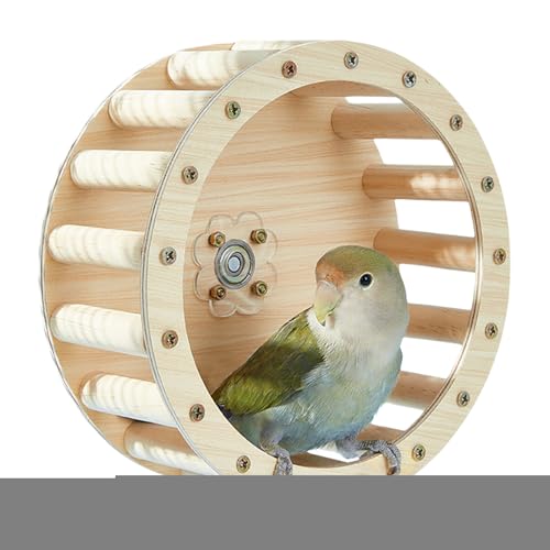 Hobngmuc Vogellaufrad Spielzeug | Intelligenzspielzeug Zur Bewegung Für Papageien | Interaktives Holz Trainingsspiel Zur Unterhaltung Für Wellensittiche Nymphensittiche Conures von Hobngmuc