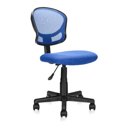 Hoclauho Ergonomischer Bürostuhl mit atmungsaktivem Mesh Rücken Höhenverstellbarer Schreibtischstuhl mit Rückenlehne 360° Drehfunktion ideal fürs Homeoffice Büro Schwarz (Blau) von Hoclauho