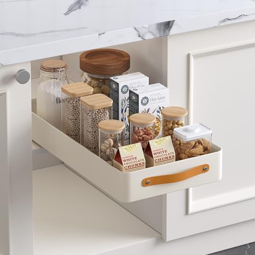Hodeffior 1 Stück Teleskopschublade mit Griff & Kleber – Ausziehbarer Küchenorganizer für Schränke (25x48x7.5 cm) – Gewürzregal & Aufbewahrung für Küche/Bad – Ohne Bohren von Hodeffior
