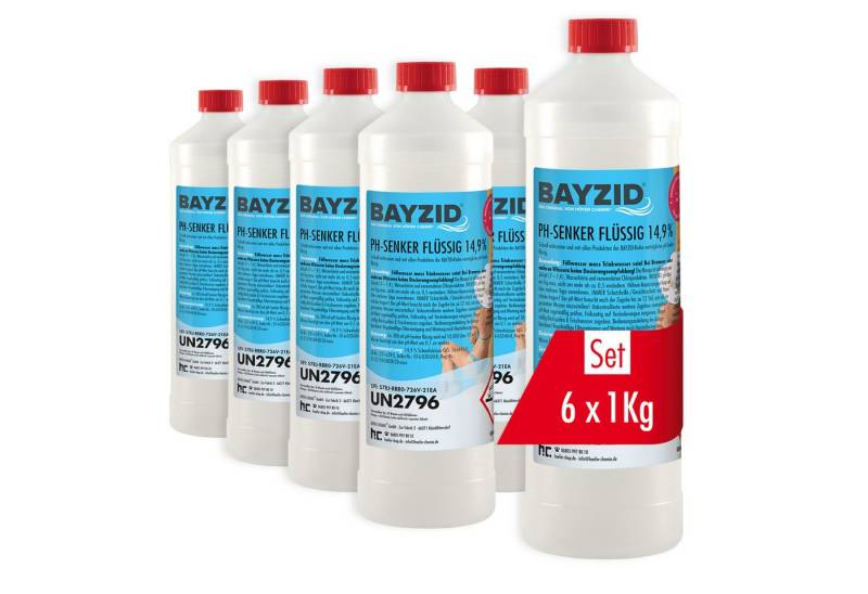 Höfer Chemie GmbH Poolpflege 6x 1 kg BAYZID® pH Minus flüssig 14,9% von Höfer Chemie GmbH