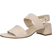 Högl Riemchensandale "Högl Sandalen Veloursleder" von Högl
