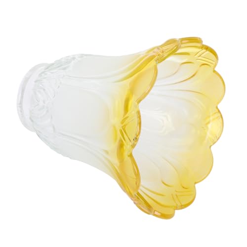 Hoement Moderner Kleiner Lampenschirm aus Mattiertem Glas Schützender Deckenlampenschirm für Wohnzimmer und Schlafzimmer Sanfte Lichtstreuung Vielseitig Einsetzbar Langlebige Struktur von Hoement