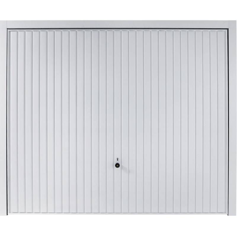 Hörmann Schwingtor Berry N80 M902 Weiß 225 cm x 192 cm von Hörmann