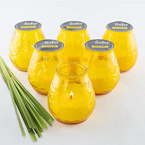 HOFER 6 x Bistro-Licht Citronella gelb | Windlicht Outdoor | Hochwertige Citronella Kerze im Glas mit Citronella-Duft | Outdoor Kerzen für Gartenparty | Deko für draußen von Hofer
