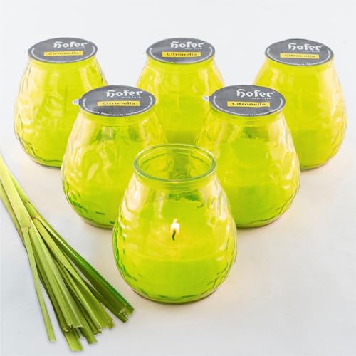 HOFER 6 x Bistro-Licht Citronella grün | Windlicht Outdoor | Hochwertige Citronella Kerze im Glas mit Citronella-Duft | Outdoor Kerzen für Gartenparty | Deko für draußen von Hofer