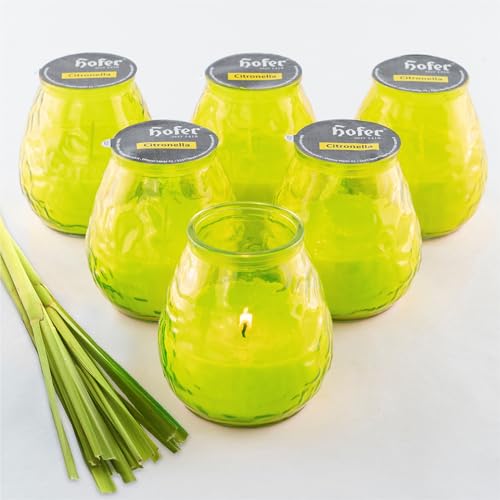 HOFER 6 x Bistro-Licht Citronella grün | Windlicht Outdoor | Hochwertige Citronella Kerze im Glas mit Citronella-Duft | Outdoor Kerzen für Gartenparty | Deko für draußen HOFER 6 x Bistro-Licht Citronella grün | Windlicht Outdoor | Hochwertige Citronella Kerze im Glas mit Citronella-Duft | Outdoor Kerzen für Gartenparty | Deko für draußen von Hofer