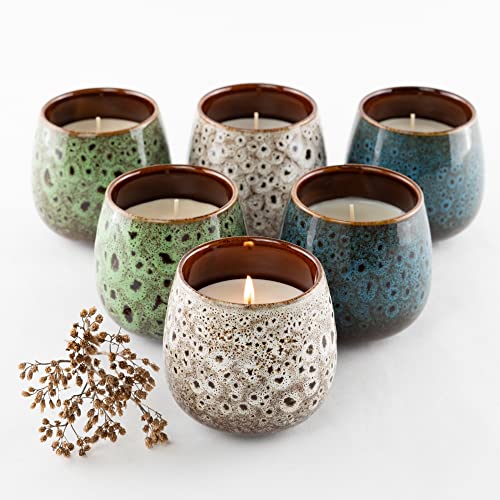 HOFER 6 x Premium Citronella-Schale | Windlicht Outdoor | Hochwertige Citronella Kerze im Keramiktopf mit Citronella-Duft | Outdoor Kerzen für Gartenparty | Deko für draußen HOFER 6 x Premium Citronella-Schale | Windlicht Outdoor | Hochwertige Citronella Kerze im Keramiktopf mit Citronella-Duft | Outdoor Kerzen für Gartenparty | Deko für draußen von Hofer