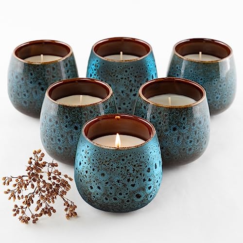 HOFER 6 x Premium Citronella-Schale blau | Windlicht Outdoor | Hochwertige Citronella Kerze im Keramiktopf mit Citronella-Duft | Outdoor Kerzen für Gartenparty | Deko für draußen… von Hofer