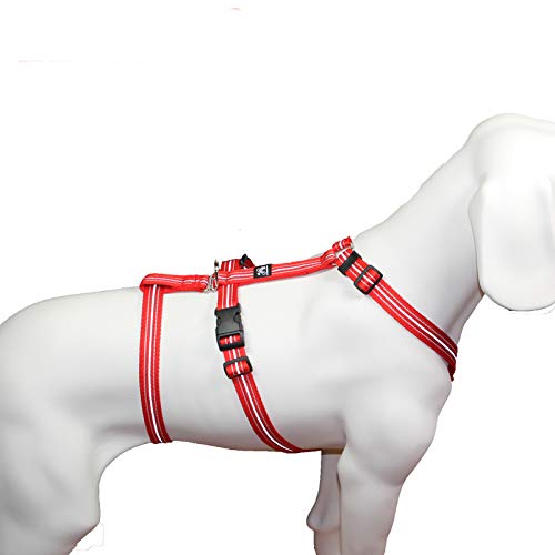 Hoffmann Das Original - NoExit Hundegeschirr ® - 100% ausbruchsicher für Angsthunde, Sicherheitsgeschirr für Pflegehunde, Panikgeschirr, Reflexband rot, Bauchumfang 60-80 cm, 25 mm Bandbreite von Hoffmann