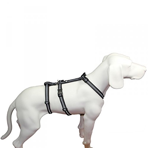 Hoffmann No Exit ausbruchsicheres Hundegeschirr für Angsthund, Sicherheitsgeschirr für Pflegehunde, Panikgeschirr, Reflexband schwarz, Bauchumfang 50-65 cm, 20 mm Bandbreite Hoffmann No Exit ausbruchsicheres Hundegeschirr für Angsthund, Sicherheitsgeschirr für Pflegehunde, Panikgeschirr, Reflexband schwarz, Bauchumfang 50-65 cm, 20 mm Bandbreite von Hoffmann