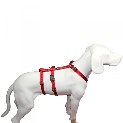 Hoffmann No Exit ausbruchsicheres Hundegeschirr für Angsthund, Sicherheitsgeschirr für Pflegehunde, Panikgeschirr, rot mit schwarzen Pfötchen, Bauchumfang 40-60 cm, 15 mm Bandbreite Hoffmann No Exit ausbruchsicheres Hundegeschirr für Angsthund, Sicherheitsgeschirr für Pflegehunde, Panikgeschirr, rot mit schwarzen Pfötchen, Bauchumfang 40-60 cm, 15 mm Bandbreite von Hoffmann