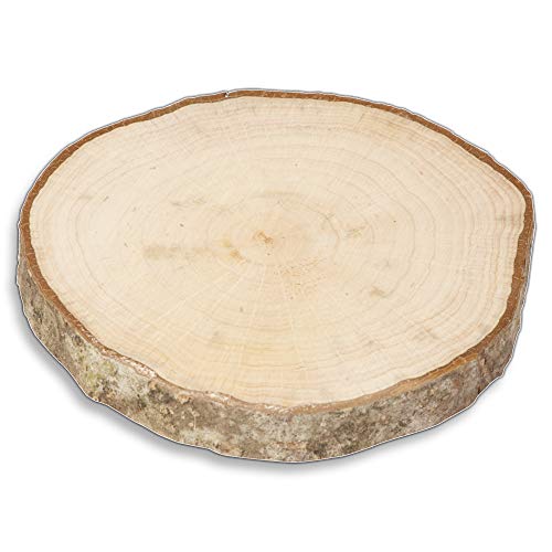 5X HOFMEISTER® Holzscheiben mit Rinde, Untersetzer, rund, unlackiert aus Holz 10 cm von Hofmeister Holzwaren