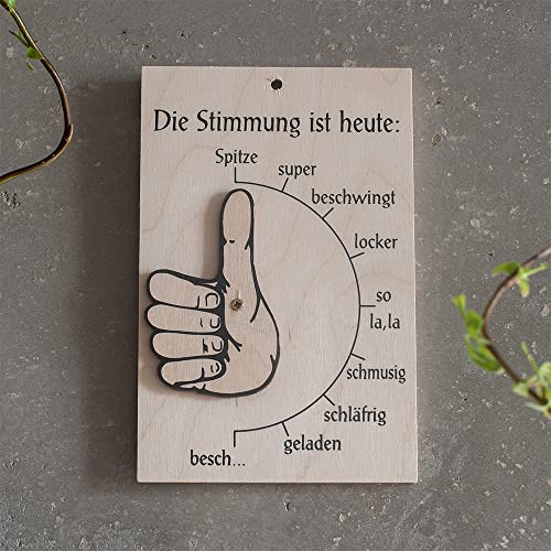 HOFMEISTER® Stimmungsbarometer Holz witzige Wichtelgeschenke - Geschenk Ideen für Kollegen im Büro lustiges Chef-Türschild Stimmungsampel für Männer Frauen Teenager, Schreibtisch-Gadget Deko-Wichteln von Hofmeister Holzwaren