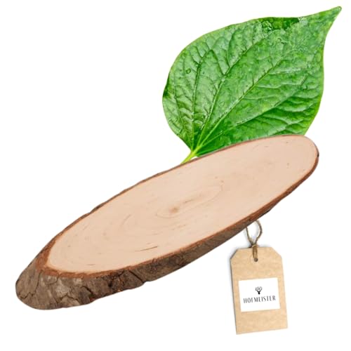 HOFMEISTER® unlackierte Holzscheibe Rindenbrett (Oval/27,5 cm) von Hofmeister Holzwaren