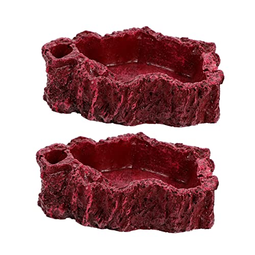 Hohopeti 2 Stück Reptilien Futternapf aus Langlebigem Harz Wasserschale für Schildkröten Gecko Echsen Terrarium Zubehör mit Realistischer als Futter und Wasserschale Hohopeti 2 Stück Reptilien Futternapf aus Langlebigem Harz Wasserschale für Schildkröten Gecko Echsen Terrarium Zubehör mit Realistischer als Futter und Wasserschale von Hohopeti