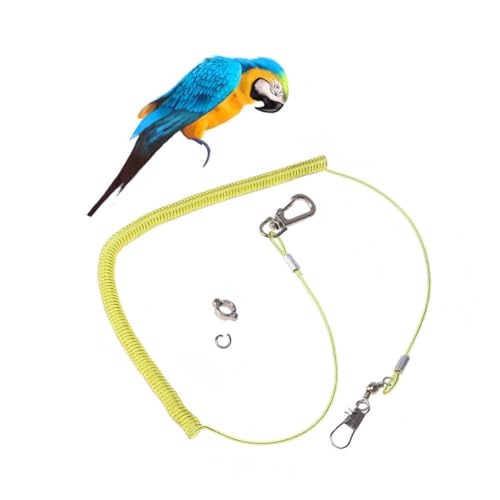 Hohopeti Elastische Papageien Leine Flugtrainingsseil mit Krallenring Bissfestes Vogelgeschirr für Outdoor Training Passend für Kleine bis Mittlere Vögel Farblich Sortiert Zufällige Farbe Hohopeti Elastische Papageien Leine Flugtrainingsseil mit Krallenring Bissfestes Vogelgeschirr für Outdoor Training Passend für Kleine bis Mittlere Vögel Farblich Sortiert Zufällige Farbe von Hohopeti