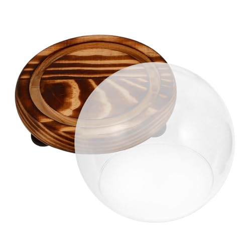 Hohopeti Glasglocke mit Holzboden Transparente Glaskuppel Staubschutz Glasdisplay für Globe Pflanzen Dekoration Eleganter Glasdom für Zuhause und Ausstellung Hohopeti Glasglocke mit Holzboden Transparente Glaskuppel Staubschutz Glasdisplay für Globe Pflanzen Dekoration Eleganter Glasdom für Zuhause und Ausstellung von Hohopeti