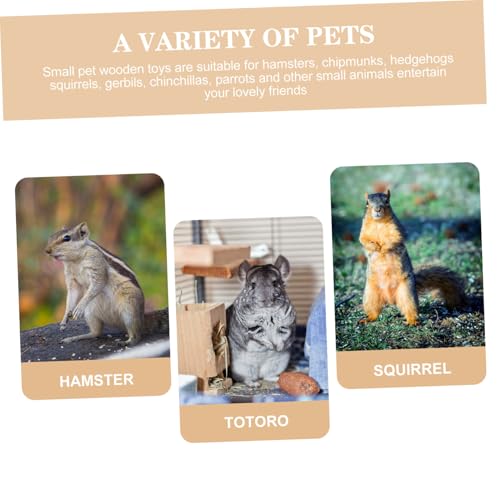 Hohopeti Hamster spielplattform aus Holz mit Leiter für Kleine Haustiere Wie Zwerghamster und Meerschweinchen Mehrstöckige Kletterplattform Langlebiges Kauspielzeug Sichere Abgerundete von Hohopeti