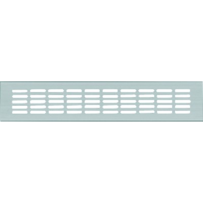 Stegblech 100 x 1000mm, F1 Schlitzlochung 30 x 5mm von Hoju