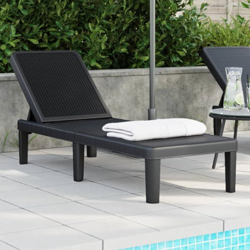 Holamys Gartenliege verstellbar, 4-Fach höhenverstellbar, 155,5x57x28 cm, Polypropylen Sonnenliege für Terrasse, Pool, Strand, wetterfest von Holamys