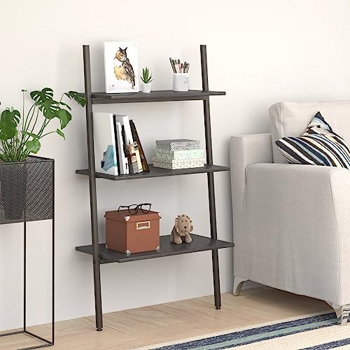 Holamys Schlankes schwarzes Leiterregal mit 3 Ablagen, 64x34x116 cm, Robustes Stahlregal für Bücher, Pflanzen und Dekoration, vielseitiger Stauraum für Wohnzimmer und Büro, modernes Design von Holamys