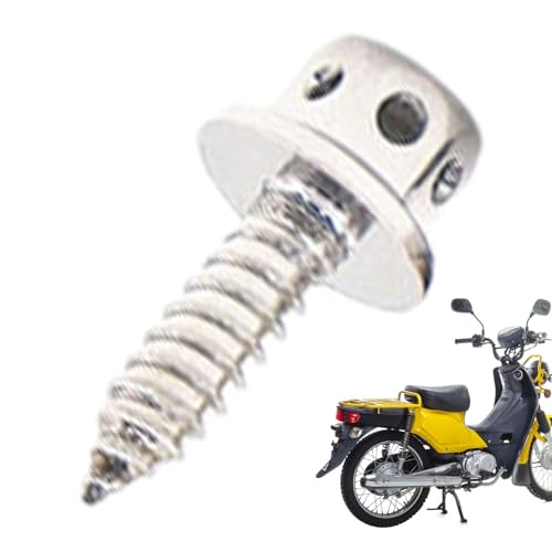 Holdes Edelstahl-Blechschrauben, modifizierte Blechschrauben für Trockenbau und Metall, M5 15 Titanschrauben, hohl sechseckig, Bohren, Autoreparatur, Motorrad Holdes Edelstahl-Blechschrauben, modifizierte Blechschrauben für Trockenbau und Metall, M5 15 Titanschrauben, hohl sechseckig, Bohren, Autoreparatur, Motorrad von Holdes