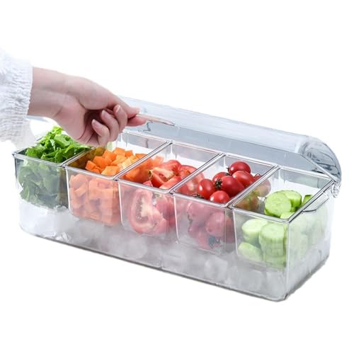 Holdes Gekühlter Gewürzserver, gekühltes Serviertablett - Eisgewürz-Serviertablett | Tablett für gekühlte Gewürze, durchsichtiges Tablett für gekühlte Gewürze mit 5 Fächern von Holdes