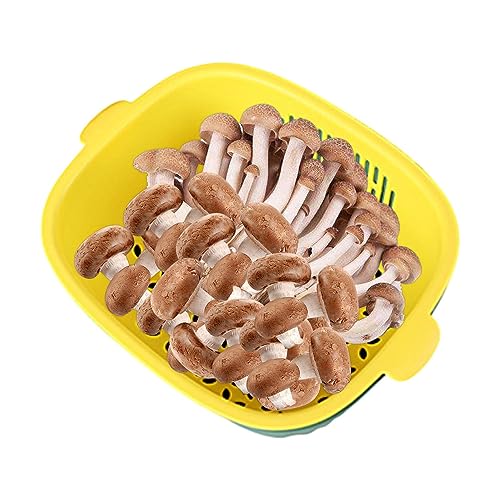 Holdes Gemüsekorb zum Waschen – 2-in-1 Lebensmittel-Sieb für Obst und Gemüse, Lebensmittelqualität, 2-in-1-Filter-Ablaufkorb, Mehrzwecksieb mit zwei Griffen Holdes Gemüsekorb zum Waschen – 2-in-1 Lebensmittel-Sieb für Obst und Gemüse, Lebensmittelqualität, 2-in-1-Filter-Ablaufkorb, Mehrzwecksieb mit zwei Griffen von Holdes