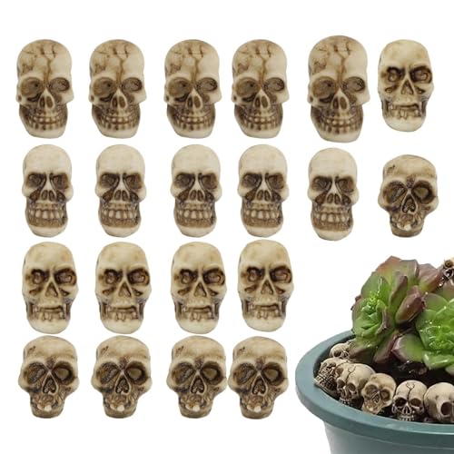 Holdes Totenkopf Landschaft Figur - Miniatur Skelett Kopf Statue Sammelfiguren | Totenköpfe Landschaft Figur Kleine Schädel Kuchen Topper Dekoration Holdes Totenkopf Landschaft Figur - Miniatur Skelett Kopf Statue Sammelfiguren | Totenköpfe Landschaft Figur Kleine Schädel Kuchen Topper Dekoration von Holdes